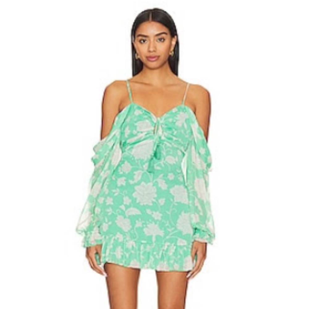 House of Harlow 1960 Dress